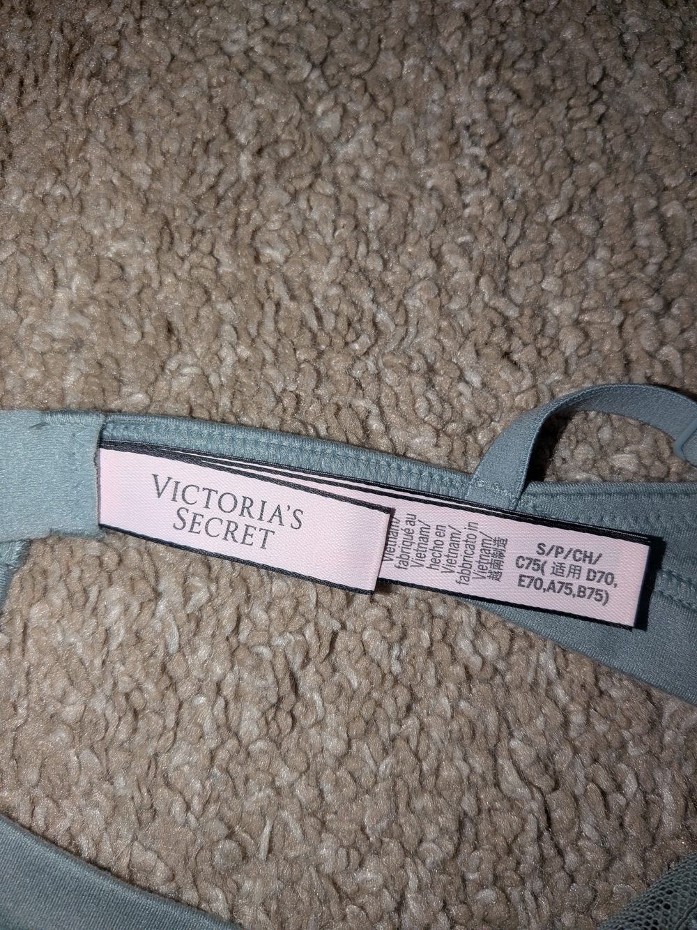 Sheer Lace High-Neck Bralette in Light Sage Green - Picture 3 of 3